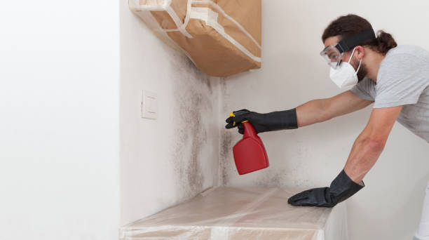 Professional Black Mold Removal technician working in Long Beach, NY
