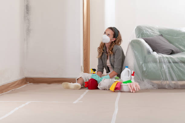 Reliable Black Mold Removal contractor in Long Beach, NY by WQB Mold Removal